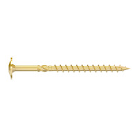 7318470242787
